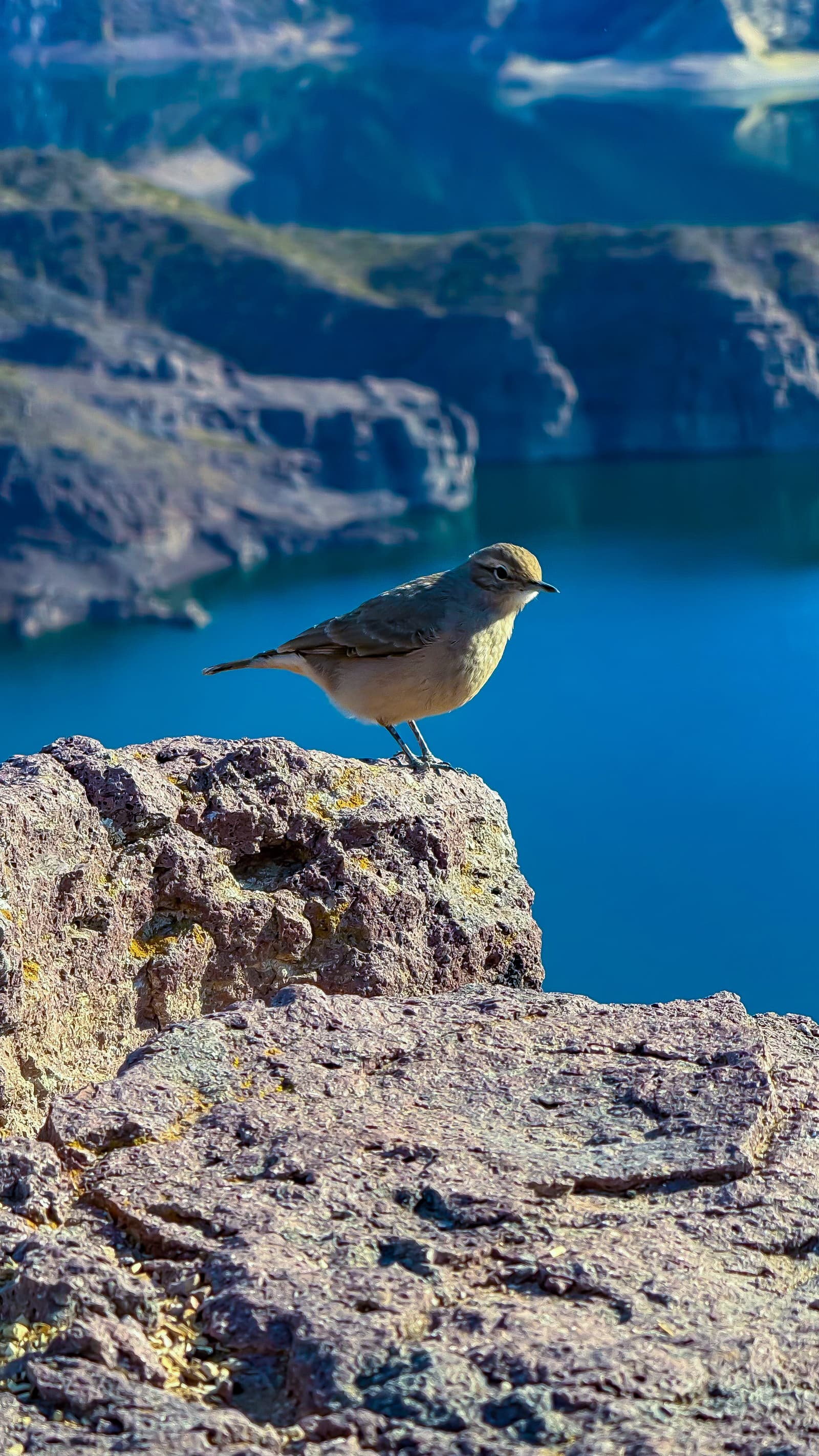 Cañón del Atuel - Panorámicas photo 14 in San Rafael, Argentina